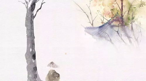 佛說(shuō) 四無(wú)量心,歡喜自在 眾生