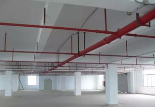 石龍廠房裝修5大注意事項與網(wǎng)吧連鎖經(jīng)營管理服務(wù)解析